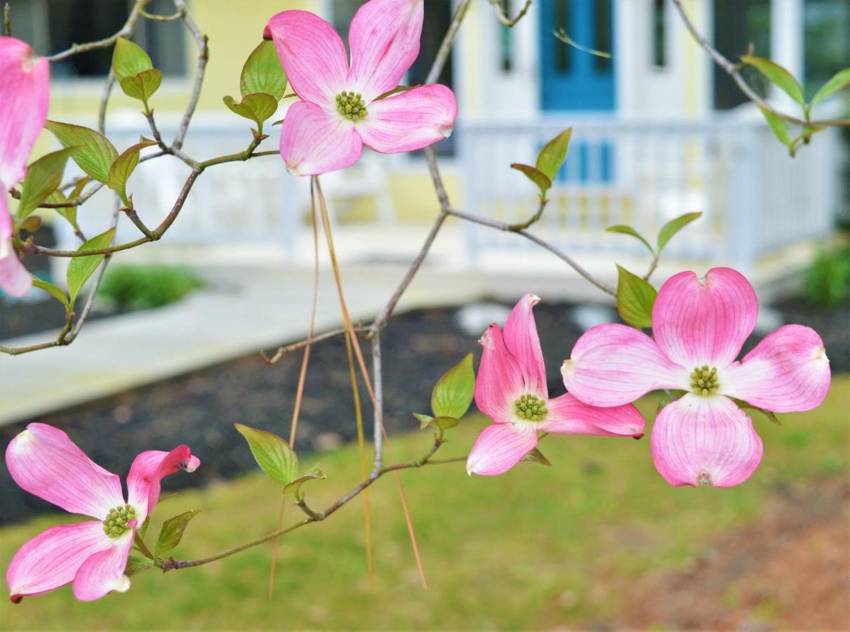 Meris Gardens B&B Bethany Beach Exterior photo